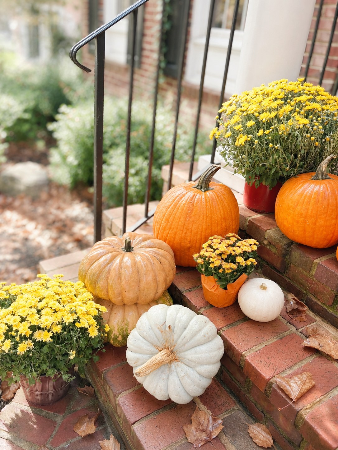 Heirloom pumpkins in white, orange and green arranged along brick steps beside an iron rail