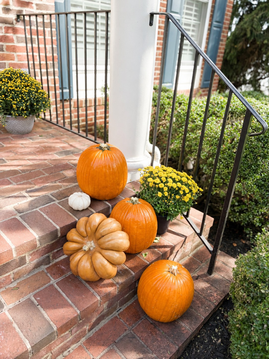 Orange and pale pumpkins gathered at the corner of brick steps beside a boxwood